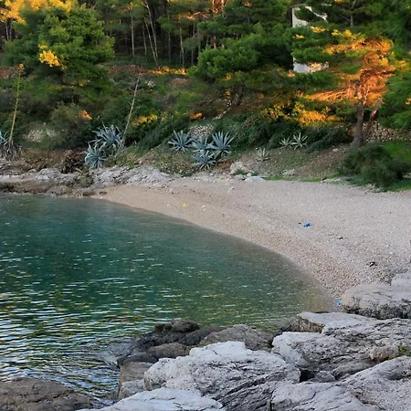 Appartement With Parking Space - 2436 Vis